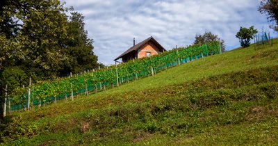 Projekt rodinného domu vo svahu: riešenia